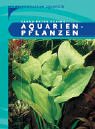 Foto Aquarienpflanzen, bester Preis 5,32 €, Bestseller 2024