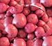 Seed Potatoes for Planting - Red LaSoda -5lbs. new 2024