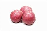 Photo Seed Potatoes for Planting Russet - 5 lb, best price $39.97 ($0.50 / Ounce), bestseller 2024