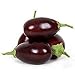 Raavayya Eggplant Seeds (F1 Hybrid from India) VERY Prolific!!!!!(10 - Seeds) new 2024
