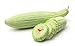 Armenian Yard-Long Cucumber Seeds - Non-GMO - 4 Grams, Approximately 130 Seeds new 2024