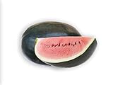 Photo 50 Black Diamond Watermelon Seeds for Planting - Heirloom Non-GMO Fruit Seeds for Planting - Grows Big Giant Watermelons Averaging 30-50 lbs, best price $5.99, bestseller 2024