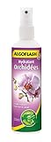 Photo ALGOFLASH Hydratant Orchidées, Vaporisation 1 xfois par jour, 250 ml, AORCHYDRA250N, meilleur prix 7,10 € (28,40 € / l), best-seller 2024