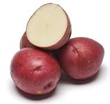 Photo 5lb Pack of Seed Potatoes - Variety 