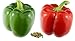 RDR Seeds 100 California Wonder Sweet Pepper Seeds for Planting - Heirloom Non-GMO Pepper Seeds for Planting - Bell Pepper Matures from Green to Red new 2024