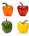 100 Piezas Rojo Verde Amarillo Naranja Mixto Semillas De Pimiento Morrón Para Plantar Al Aire Libre Cree Un Espléndido Jardín De Verduras Brillantes Amado Por Todos nuevo 2024