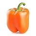 Orange Sun Sweet Bell Pepper Seeds, 100 Heirloom Seeds Per Packet, Non GMO Seeds, Botanical Name: Capsicum annuum, Isla's Garden Seeds new 2024