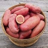 Photo Seed Potatoes for Planting French Fingerling 5lbs., best price $19.97 ($0.25 / Ounce), bestseller 2024