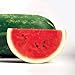 Park Seed Sangria Hybrid Watermelon Seeds, Pack of 10 Seeds new 2024