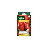 Photo Vilmorin - Sachet graines Tomate Cornabel HF1, meilleur prix 7,75 € (0,39 € / Count), best-seller 2024