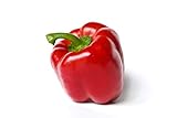 Photo Yolo Wonder L Red Sweet Bell Pepper Seeds, 100 Heirloom Seeds Per Packet, Non GMO Seeds, Botanical Name: Capsicum annuum, Isla's Garden Seeds, best price $5.99 ($0.06 / Count), bestseller 2024