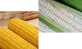 Photo 100 White & 100 Yellow Sticky Waxy Corn Seeds, Total 200 Seeds, Non GMO, Produce of The USA, best price $15.99 ($0.08 / Count), bestseller 2024
