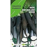 Photo Graines Passion sachet de graines Radis noir gros long d'hiver, meilleur prix 5,50 €, best-seller 2024