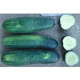 Photo County Fair F1 Hybrid Cucumber Seeds (40 Seed Pack), best price $5.19, bestseller 2024