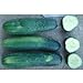 County Fair F1 Hybrid Cucumber Seeds (40 Seed Pack) new 2024