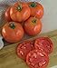 Burpee 'Super Beefsteak' | Red Beefsteak Slicing Tomato | 175 Seeds new 2024