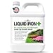 Chelated Liquid Iron +Plus Concentrate Blend, Liquid Iron for Lawns, Plants, Shrubs, and Trees Stunted or Growth and Discoloration Issues – Solve Iron Deficiency and Root Problems – (32 oz.) USA Made new 2024