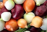 Photo Multicolor Onion Seed Mx for Planting About 200 Seeds, best price $7.55, bestseller 2024
