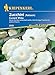 Kiepenkerl 2859 Zucchini Custard White, entwickelt weiße tellerförmige Früchte mit zartem Fleisch, essbar oder als Deko neu 2024