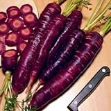 Photo Purple Dragon Carrot 350 Seeds - Absolutely unique!, best price $1.95 ($0.01 / Count), bestseller 2024