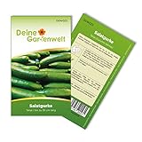 Foto Salatgurke Tanja Samen - Cucumis sativus - Gurkensamen - Gemüsesamen - Saatgut für 8 Pflanzen, bester Preis 1,99 € (0,25 € / stück), Bestseller 2024