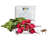 Photo 500 Cherry Belle Radish Seeds, USA Grown - Easy to Grow Heirloom Radish Seeds - Spring Vegetable Garden Seeds, First Harvest in 25 Days - Non GMO Radish Seeds - Premium Red Radish Seeds by RDR Seeds, best price $5.99 ($0.01 / Count), bestseller 2024