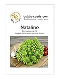 Foto Kohlsamen Natalino Romanesco Portion, bester Preis 1,95 €, Bestseller 2024