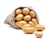 Foto Kartoffel Belana festkochend 10kg deutsche Speisekartoffel, bester Preis 9,90 € (0,99 € / kg), Bestseller 2024