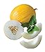 Burpee Twice As Nice Hybrid (Fonzy) Melon Seeds 15 seeds new 2024