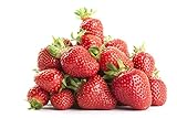 Photo Strawberry Seeds-2000 Strawberry Seeds for Planting Indoors/Outdoors-Strawberry Seeds Heirloom Non GMO Organic-Alpine Strawberry Seeds for Planting Home Garden-Climbing Strawberry Tree Seeds, best price $12.99 ($0.01 / Count), bestseller 2024