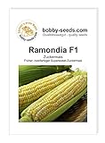 Foto Gemüsesamen Maissamen Ramondia F1 Zuckermais Portion, bester Preis 2,35 €, Bestseller 2024