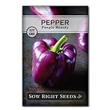 Photo Sow Right Seeds - Purple Beauty Pepper Seed for Planting - Non-GMO Heirloom Packet with Instructions to Plant and Grow an Outdoor Home Vegetable Garden - Productive Sweet Bell Peppers - Great Gift, best price $5.49, bestseller 2024