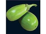 Photo 25 APPLEGREEN EGGPLANT Green Fruit / Vegetable Solanum Melongena Seeds, best price $3.00 ($0.12 / Count), bestseller 2024