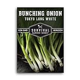 Photo Survival Garden Seeds - Tokyo Long White Onion Seed for Planting - Pack with Instructions to Plant and Grow Asian Green Onions in Your Home Vegetable Garden - Non-GMO Heirloom Variety, best price $4.99, bestseller 2024
