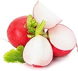 Photo Cherry Belle Radish Seeds | Vegetable Seeds for Planting Outdoor Gardens | Heirloom & Non-GMO | Planting Instructions Included, best price $6.95, bestseller 2024