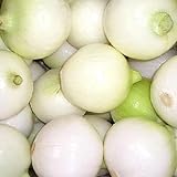 Photo 500 CRYSTAL WHITE WAX PEARL ONION Allium Cepa Vegetable Seeds, best price $3.00, bestseller 2024