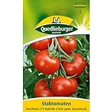 Foto Tomate, Harzfeuer F1, bester Preis 2,77 € (0,14 € / stück), Bestseller 2024