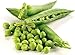 Non-GMO, Pea Seeds, 130 Seeds, Bend and Snap Pea new 2024