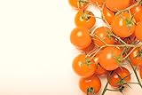 Photo Sunsugar Hybrid - Tomato Seeds, best price $6.99, bestseller 2024
