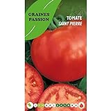 Foto Graines passion bolsa de semillas tomate san pedro, mejor precio 4,80 €, éxito de ventas 2024