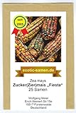 Foto Mais - Zuckermais - Ziermais - Indianermais - Fiesta - 25 Samen, bester Preis 2,39 € (0,10 € / stück), Bestseller 2024