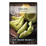 Photo Sow Right Seeds - Green Honeydew Melon Seed for Planting - Non-GMO Heirloom Packet with Instructions to Plant a Home Vegetable Garden, best price $4.99, bestseller 2024