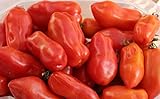 Photo 40+ San Marzano Tomato Seeds- Italian Heirloom Variety- Ohio Heirloom Seeds, best price $4.49, bestseller 2024