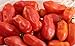 40+ San Marzano Tomato Seeds- Italian Heirloom Variety- Ohio Heirloom Seeds new 2024