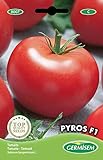 Photo Germisem graines Tomate PYROS F1, meilleur prix 5,83 €, best-seller 2024