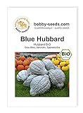 Foto Blue Hubbard BIO Kürbissamen von Bobby-Seeds Portion, bester Preis 2,75 €, Bestseller 2024