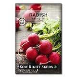 Photo Sow Right Seeds - Champion Radish Seed for Planting - Non-GMO Heirloom Packet with Instructions to Plant a Home Vegetable Garden - Great Gardening Gift (1)…, best price $4.99, bestseller 2024