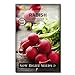 Sow Right Seeds - Champion Radish Seed for Planting - Non-GMO Heirloom Packet with Instructions to Plant a Home Vegetable Garden - Great Gardening Gift (1)… new 2024