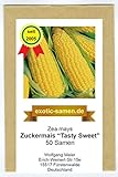 Foto Zuckermais - Mais -Tasty Sweet F1 Hybride - sehr süß - früh reifend - 50 Samen, bester Preis 2,49 €, Bestseller 2024