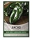 Ancho Poblano Pepper Seeds for Planting Heirloom Non-GMO Ancho Peppers Plant Seeds for Home Garden Vegetables Makes a Great Gift for Gardening by Gardeners Basics new 2024